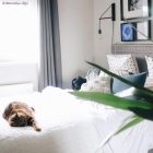 Creative-Cables Félgömb 25934 lámpaizzótartó foglalatok fekete