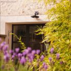 Creative Cables lámpatest Fermaluce Modulair L alakú hosszabbítással, lengő lámpaernyővel és lámpatartóval IP65 APE2NEPAM13VNO-L fekete