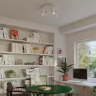 Creative Cables lámpatest Lámpa 4 spotlámpával, Tub-E14 lámpaernyővel és kerek Rose-One XXL-lel APM2R1024TBSCRSPOTVBO