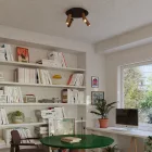 Creative Cables lámpatest Lámpa 4 spotlámpával, Tub-E14 lámpaernyővel és kerek Rose-One XXL-lel APM2R1034TBSOTSSPOTOTS-L