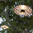 Creative Cables lámpatest Snake Modulair mini Ellepì „Maioliche” lapos lámpaernyővel, hordozható kültéri lámpa, PSEEL02NESM04DD24MA04-L IP65