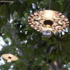 Creative Cables lámpatest Snake Modulair mini Ellepì „Maioliche” lapos lámpaernyővel, hordozható kültéri lámpa, PSEEL02NESM04DD24MA04 IP65