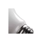 Kanlux LED izzó E27