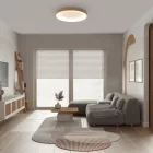  MANTRA NISEKO 8030 MENNYEZETI LÁMPA ARANY LED