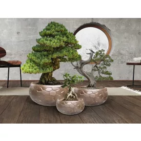   Schuller design lámpa KANEL- SZETT 3 VELTŐTŐ- BRONZ 602389 Ø55cm mag 26.5cm